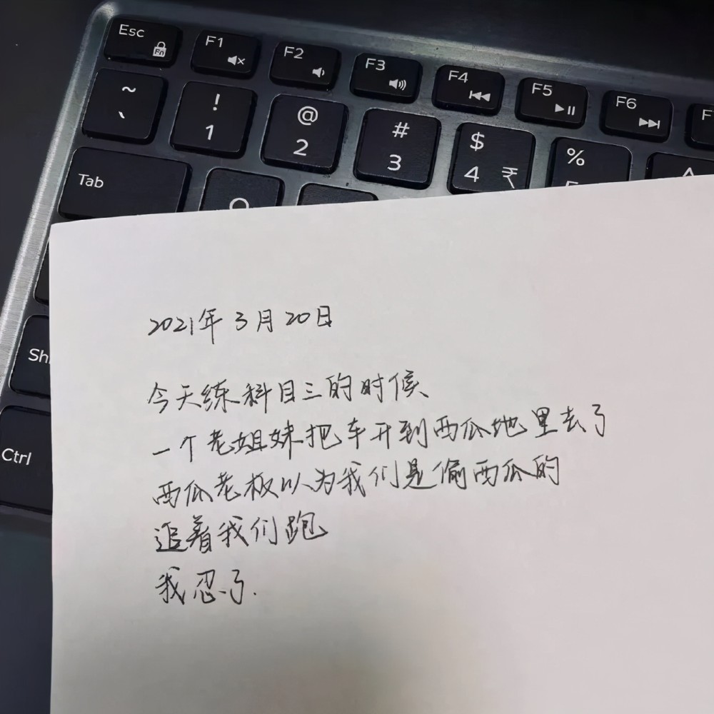 驾校教练的记仇本