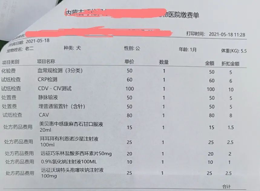 一例幼犬 窝咳 诊疗调养案例分享 腾讯新闻