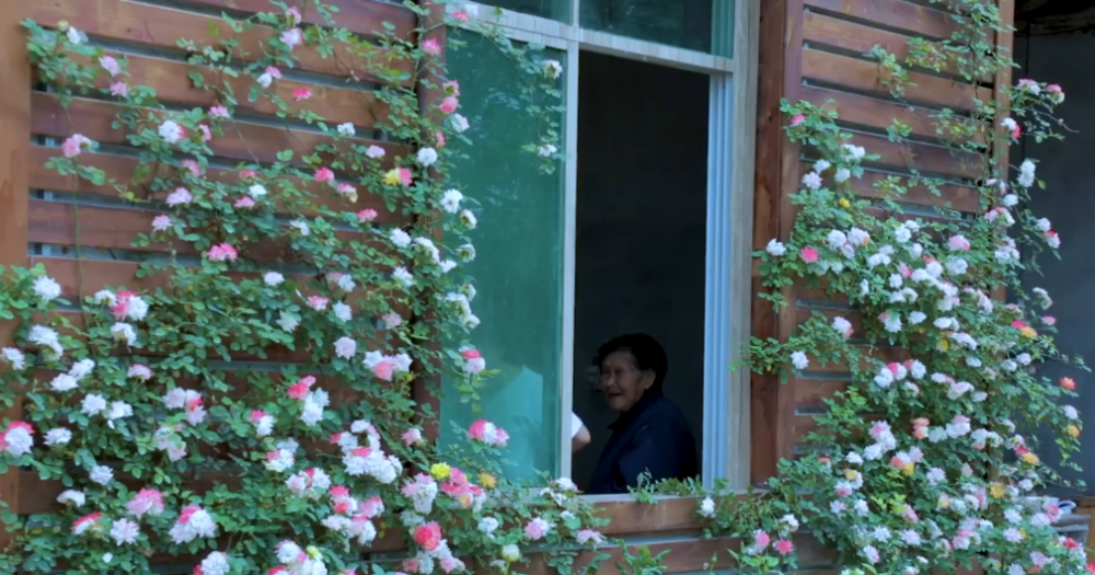 李子柒的小院真美