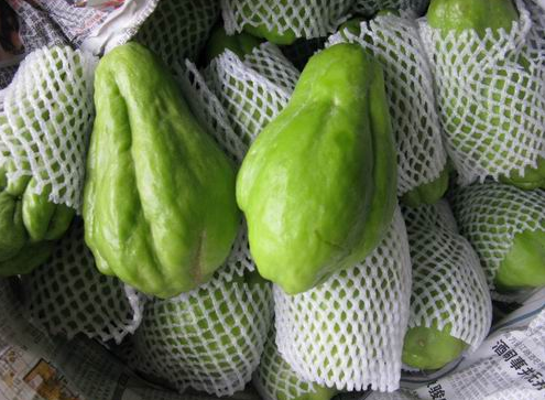 俗称 寿瓜 有佛教祝福之意 种一株能吃大半年 但市场却少见 佛手瓜 蔬菜 南瓜