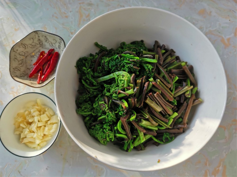 东北农村的猴腿菜怎样做好吃?教你这样做,不用放肉,清淡味美_腾讯新闻