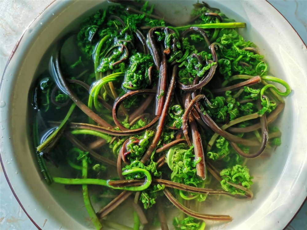 东北农村的猴腿菜怎样做好吃?教你这样做,不用放肉,清淡味美