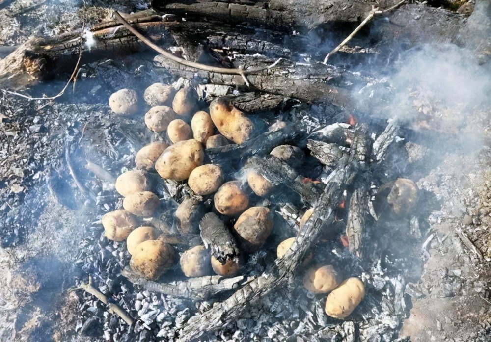 怎样做土豆好吃_养胃粥做法大全带图解(好吃易做)_土豆炖牛肉怎么做