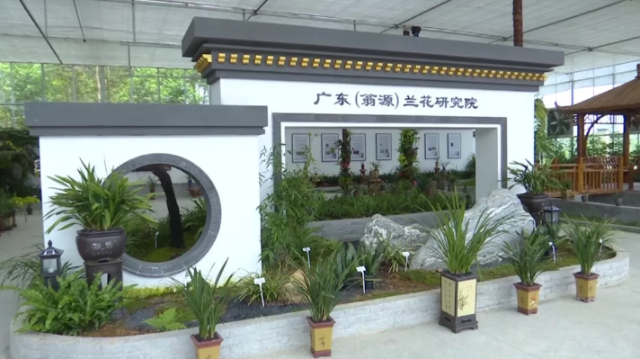 年产兰花超百万株广东翁源兰花研究院被评为广东十大最美花园