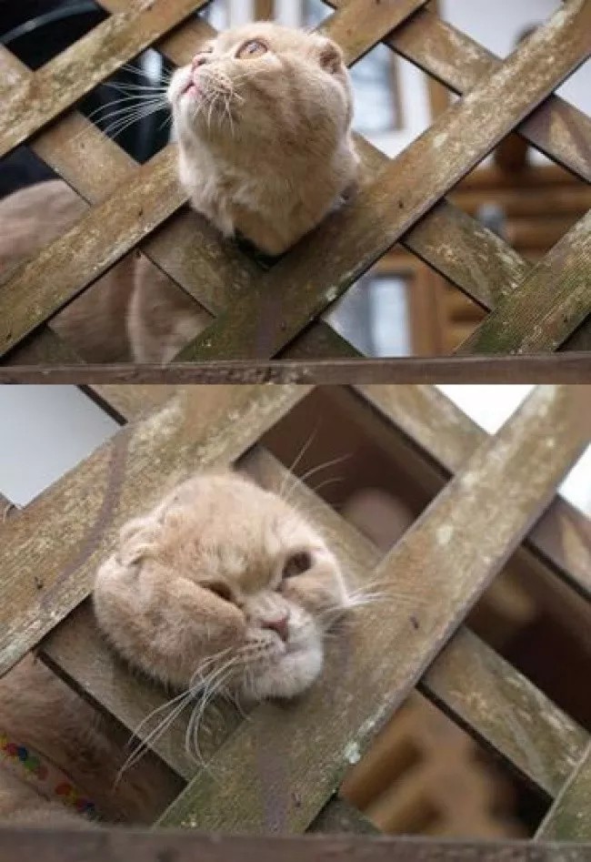 倒霉瞬间,我先笑为敬