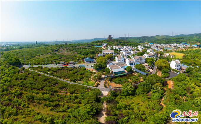 绿色发展农家小院溧水山凹村垃圾分类提升全域美丽