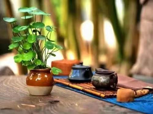 現品限り一斉値下げ 壺 花瓶 茶道 陶芸 Www Plaviatko Sk
