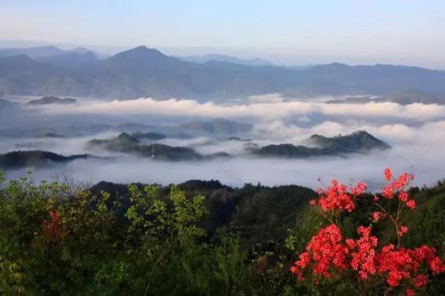 十四五迎驾贡酒更加值得期待