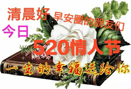 5月日情人节最新漂亮早上好问候动态图带字5情人节最美早安问候祝福语图片带字温馨 腾讯新闻