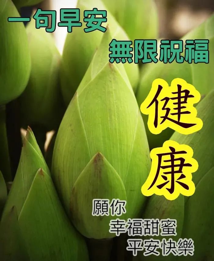 唯美早上好问候语图片带字精选早安祝福问候精选漂亮图片