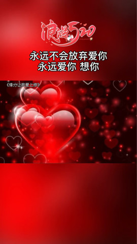 在这个特殊的日子我想对最爱的人说你是我今生最美的相遇