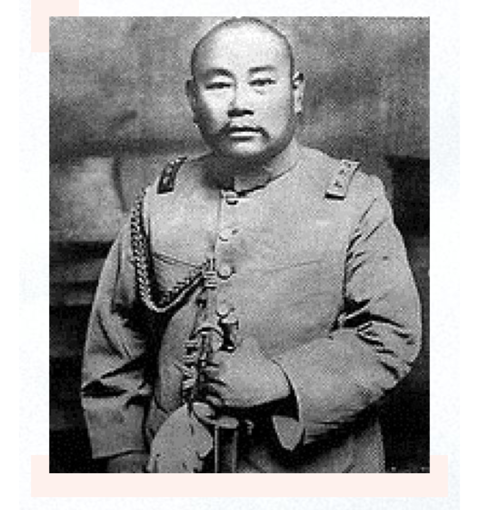 广西历史人物.沈鸿英