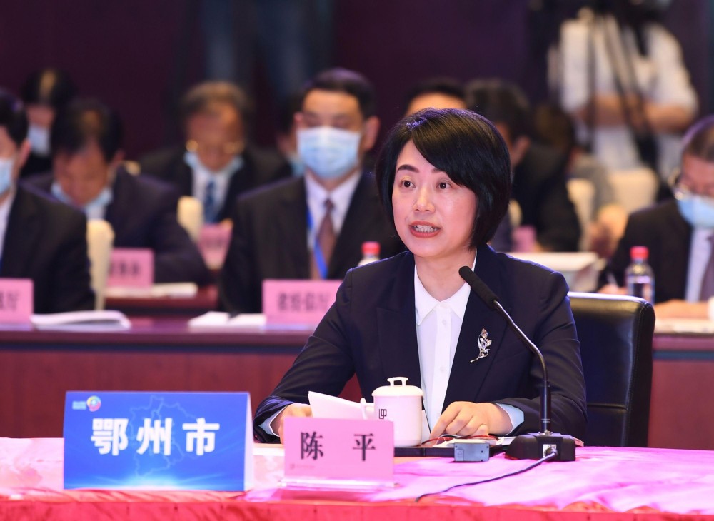 鄂州市委副书记,市长 陈平全力支持做大做强武汉极核加速"服务畅通".