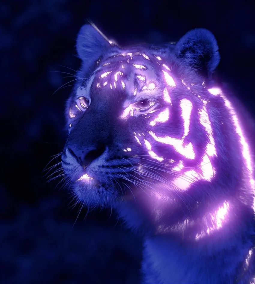 ps教程制作发光特效