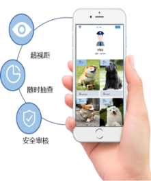 电子犬牌-湖北安众科技助力犬只系统管理
