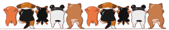 电子犬牌-湖北安众科技助力犬只系统管理
