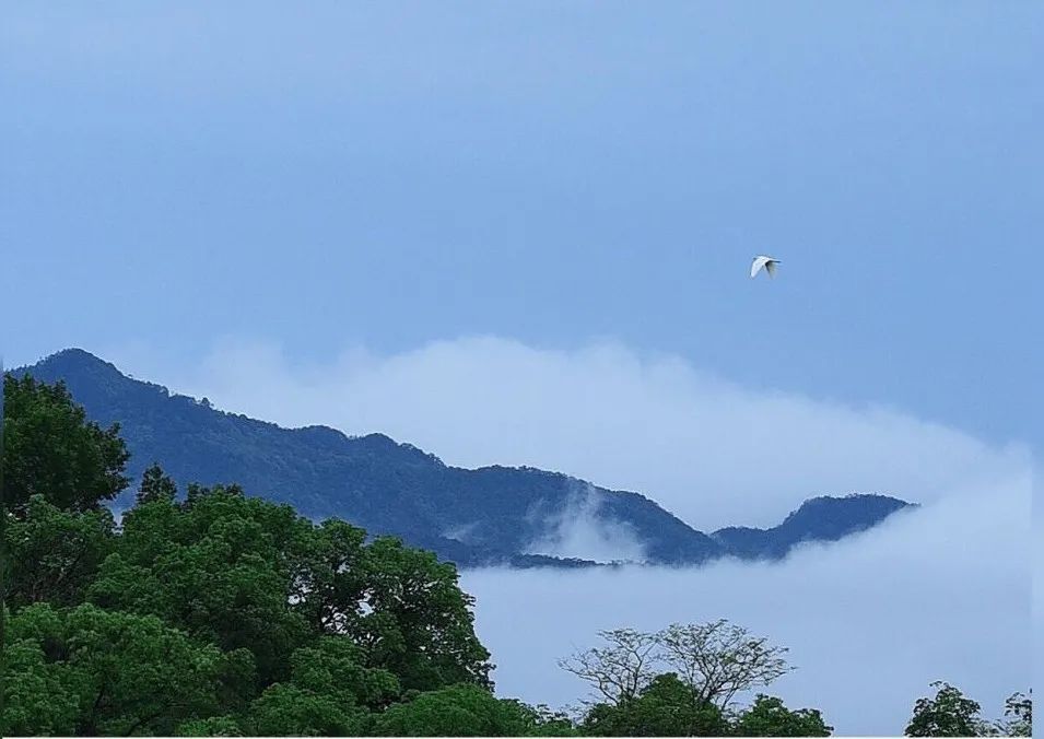 《韩非子:志之难,不在胜人在自胜