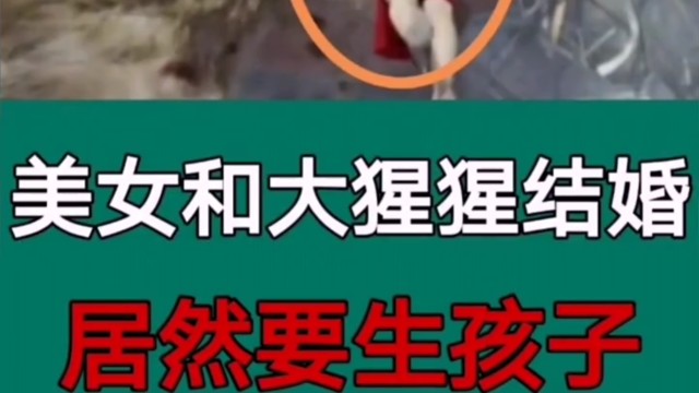 美女和大猩猩结婚居然要生孩子