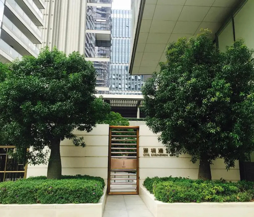 应该没有不知道"深圳湾1号",作为深圳的顶级豪宅,可以说"深圳湾1号"