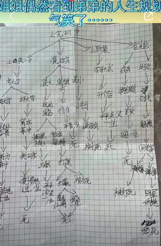 看完初中生的人生规划后哭笑不得连条活路都没给自己留啊