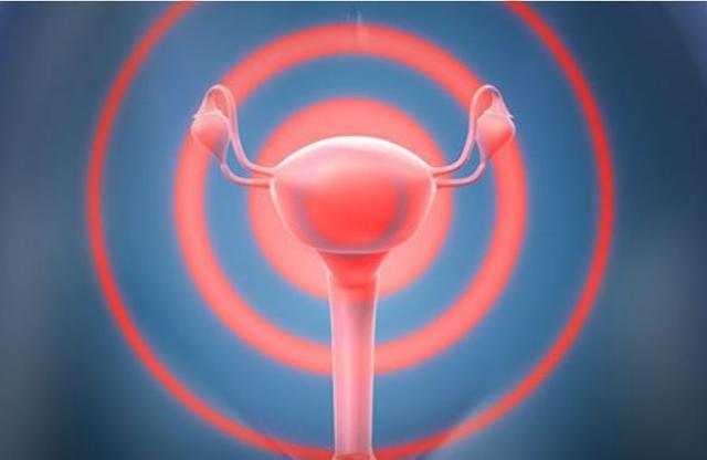 子宫|嘴唇|宫寒|宫颈疾病