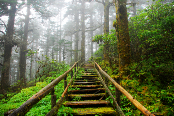 周末到去黑竹沟邂逅清风鲜氧吧