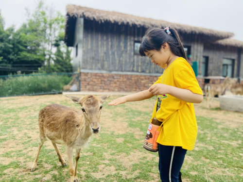 山东广播电视台 全能宝贝 栏目 济南野生动物世界挑战之旅拍摄圆满结束 山东广播电视台 全能宝贝