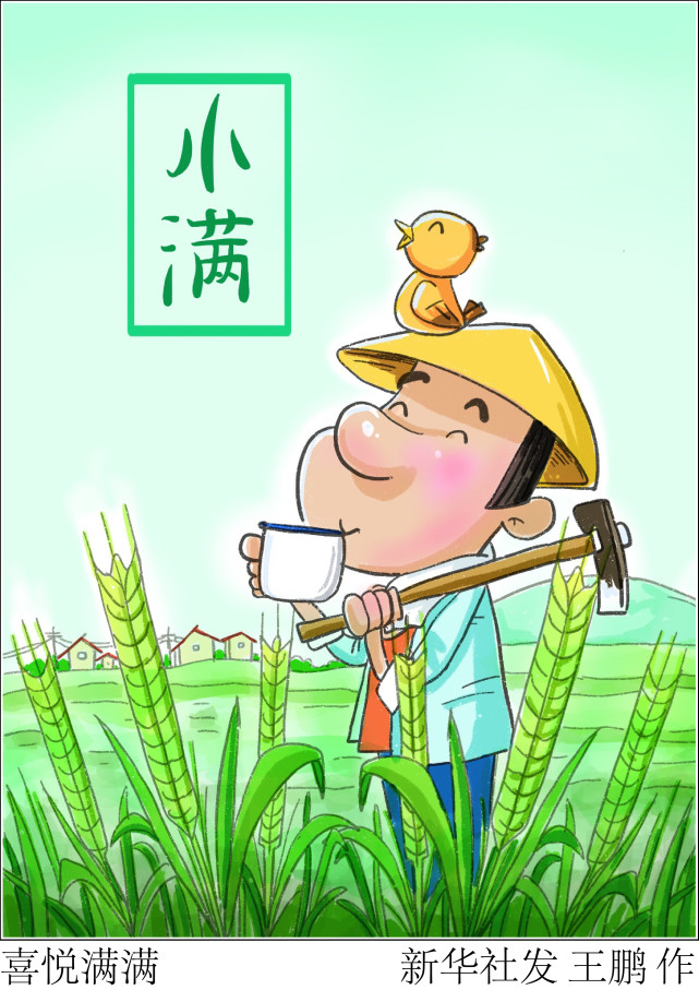 图表漫画二十四节气小满喜悦满满