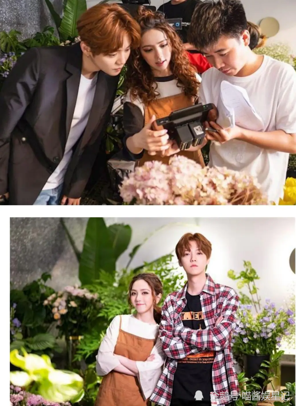 邓紫棋问鹿晗为什么每天来花店鹿晗回答避嫌关晓彤听了也会笑吧