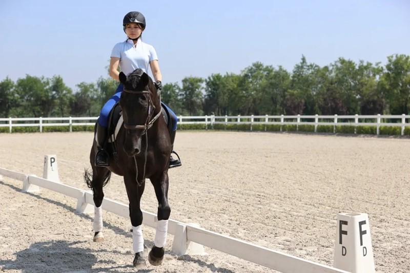 陕西第一人西安姑娘登上全运马术舞台