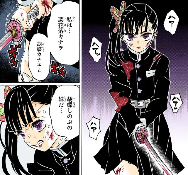 鬼灭之刃最后的蝴蝶栗花落香奈乎生日快乐呀