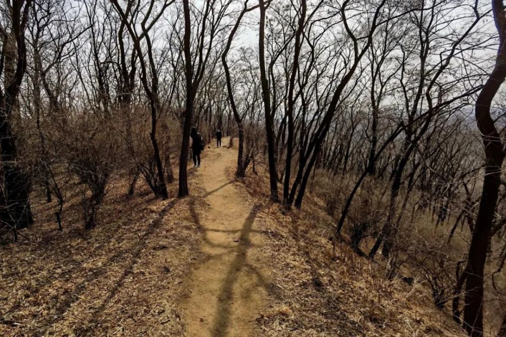 探访抚顺高尔山山城遗址