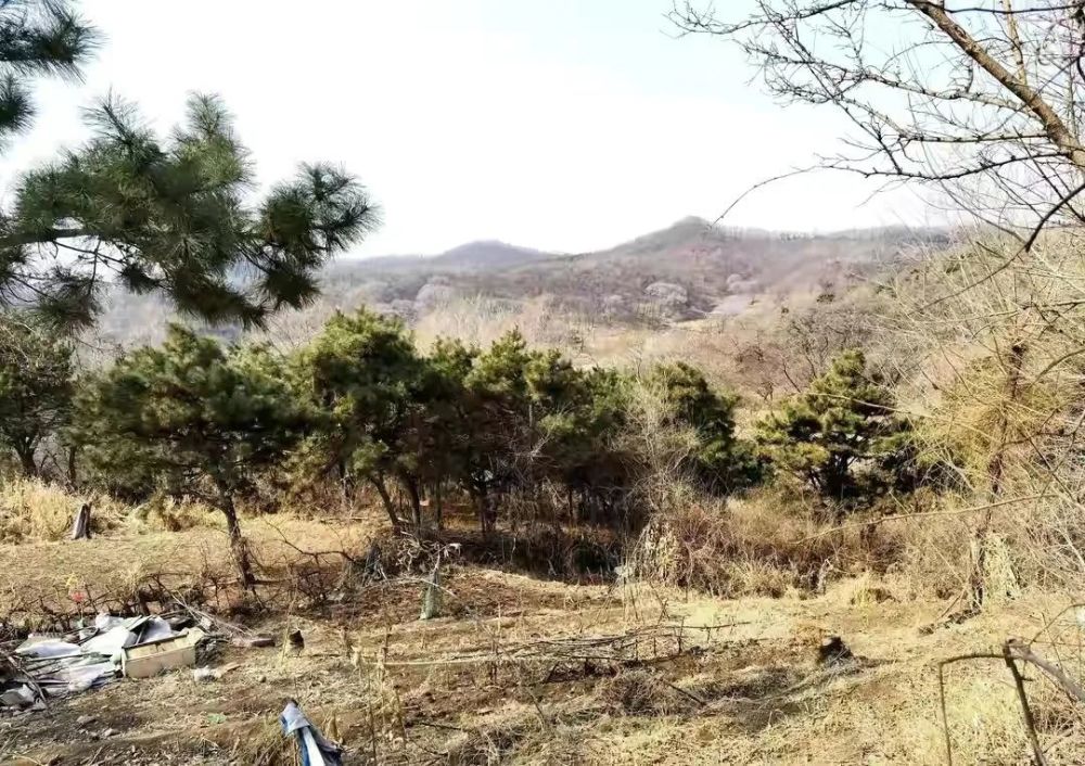 探访抚顺高尔山山城遗址