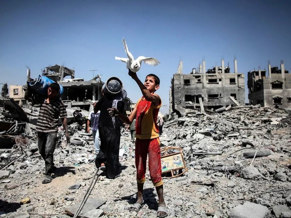 王晋巴以冲突的历史根结与未来出路