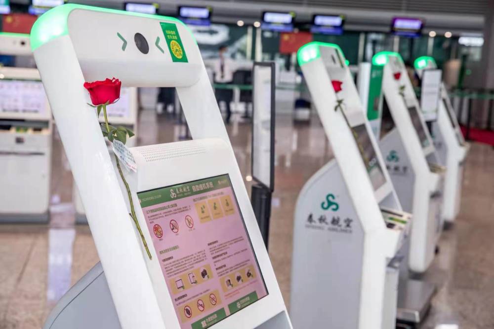 520告白日:你需要的"玫瑰",春秋航空已经帮你准备好了!