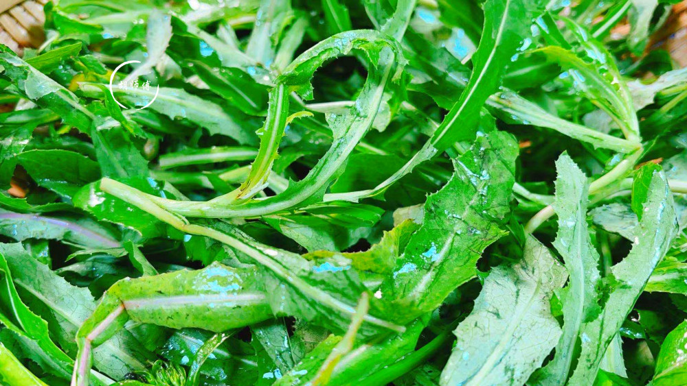 今日小满,别忘了喝一碗"小满粥",应季而食身体棒,健康过夏天