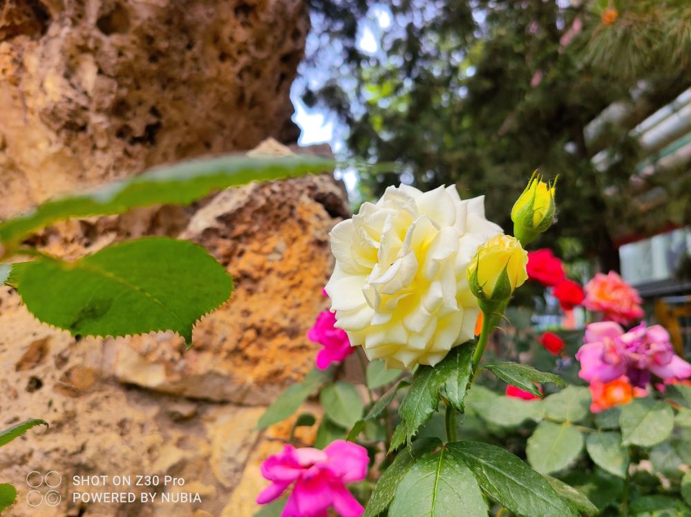 努比亚z30pro评测有了120w闪充和两亿组合能重回巅峰吗