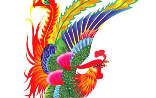 山西老农深山发现"金凤凰",一连投喂了4年,如今迎来意外收获