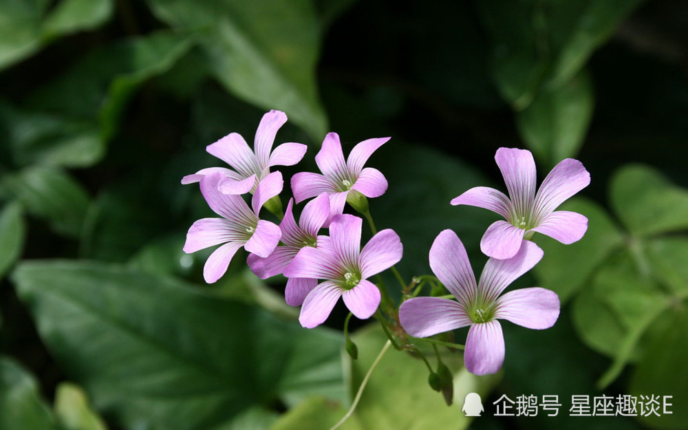 5月21日 25日星座运势 巨蟹劳逸结合 天秤把握契机 水瓶倾尽全力 腾讯新闻