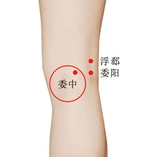 5,委中穴府舍,经穴名,属足太阴脾经.足太阳,足厥阴,阴维之会.