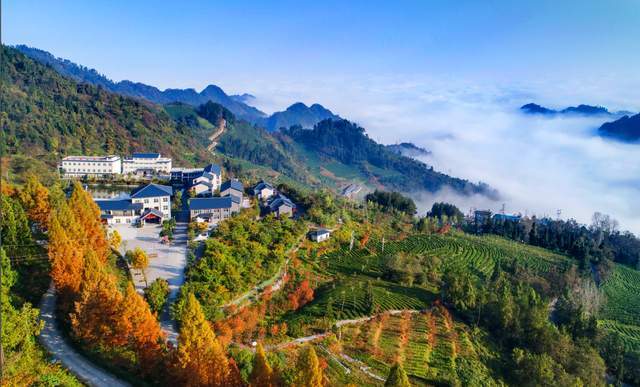 西安出发4小时 小城竹溪不可错过的宝藏避暑地