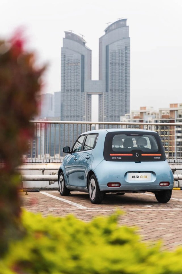 520用欧拉白猫告白女神一定心花怒放