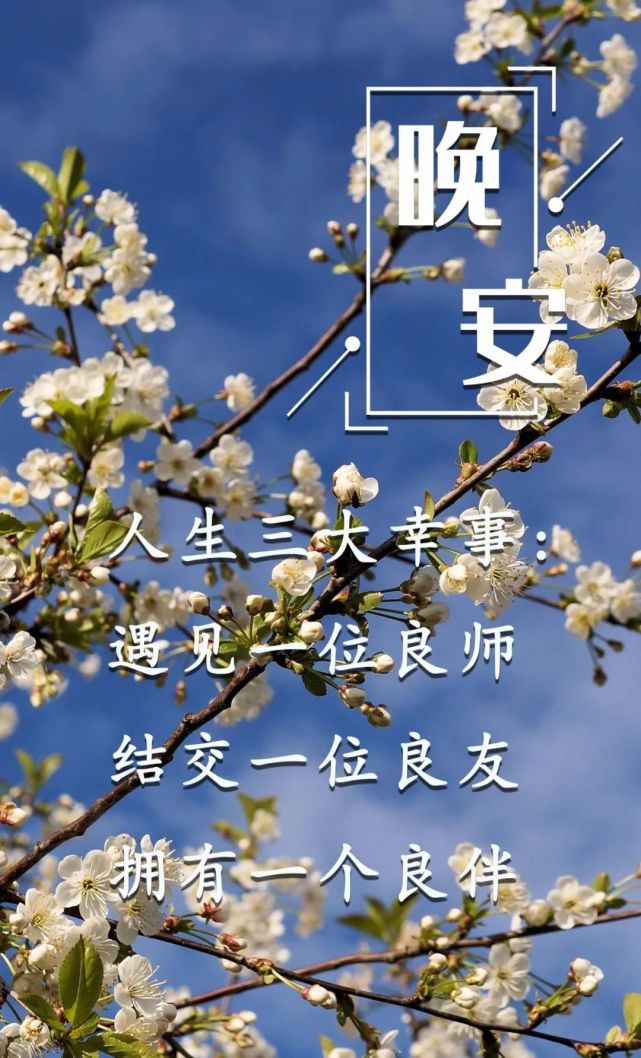 晚间悦读人生三大幸事遇良师得良友拥良伴