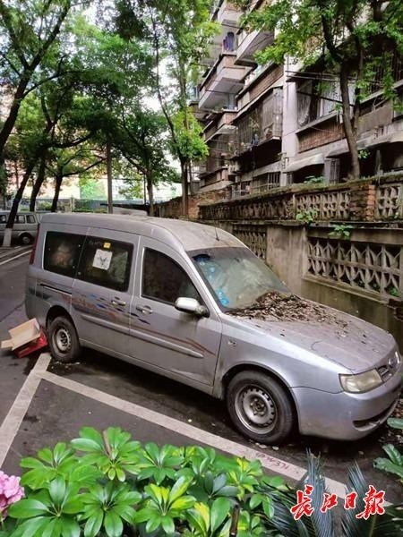 这些僵尸车一停好几年居民长期占位盼拖走