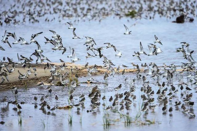 盐城:拥抱海洋 走向蔚蓝