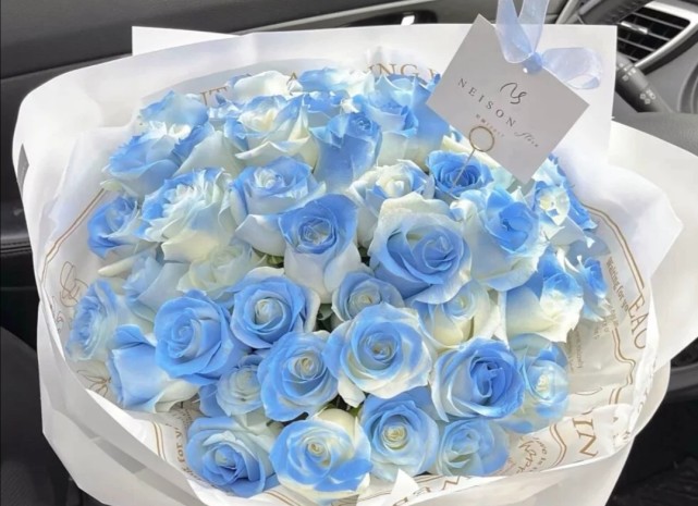 密西根碎冰蓝渐变玫瑰有个很美好的花语送给你的希望是星辰和大海