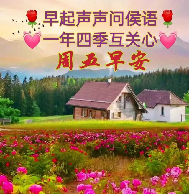 6月4日最漂亮的早上好祝福语图片温馨清晨群发短语暧心问候动图 问候语大全