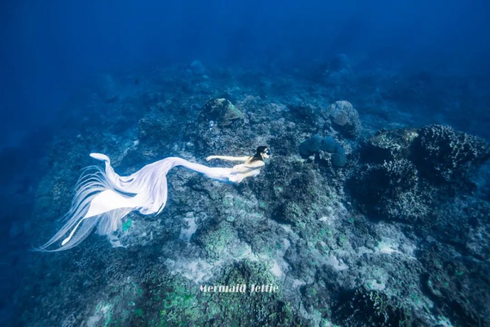 被虐了一天你不应该知道自己为什么还是单身潜水员的原因吗