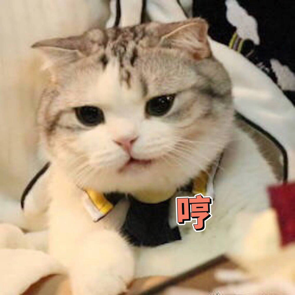 女生专用可爱搞笑聊天表情包