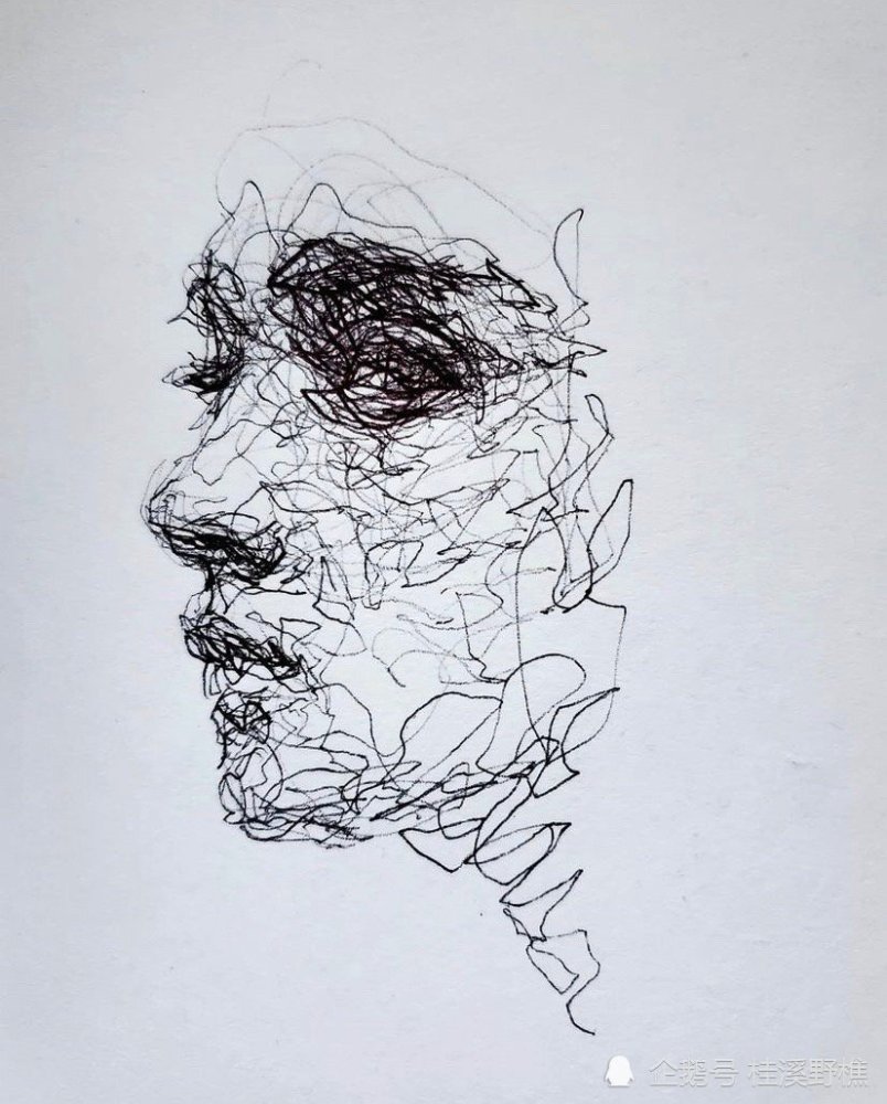 用杂乱无章的线条 画出了不简单的画 网友 真正的以线造型 腾讯新闻